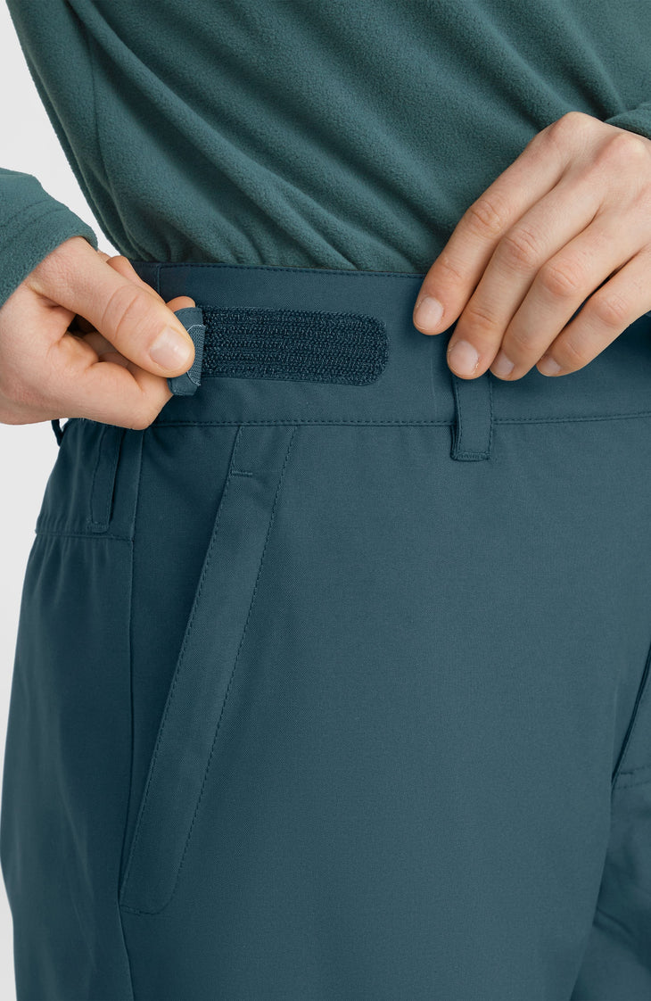 Aplite Regular Snow Pants | Alma Steel