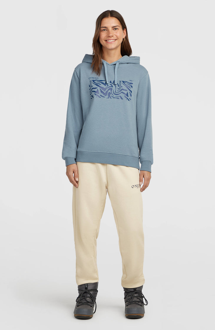 O'Neill Graphic Hoodie | Murky Water