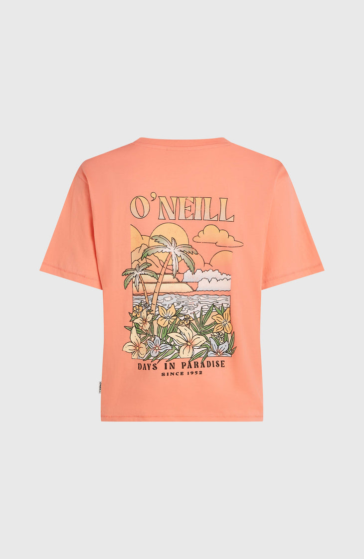 O’Neill Boxy Back Print T-Shirt | Funky Peach