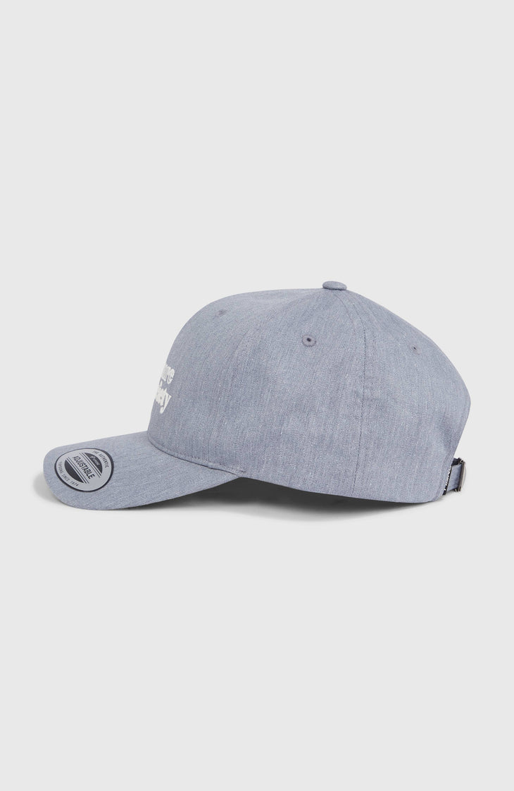 Future Surf Society Cap | Silver Melee
