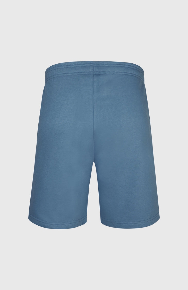 Future Surf Society Shorts | Copen Blue