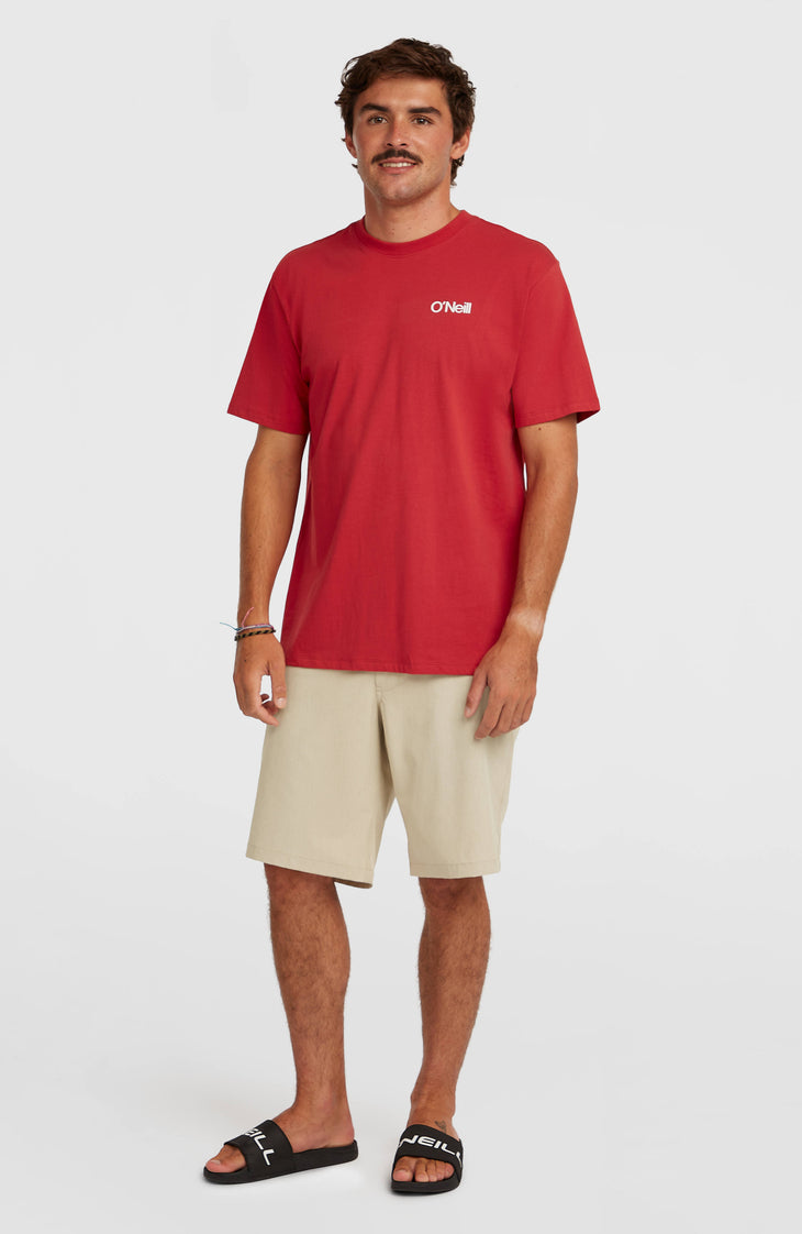 Hybrid 19'' Melange Shorts | Cocoa Sand