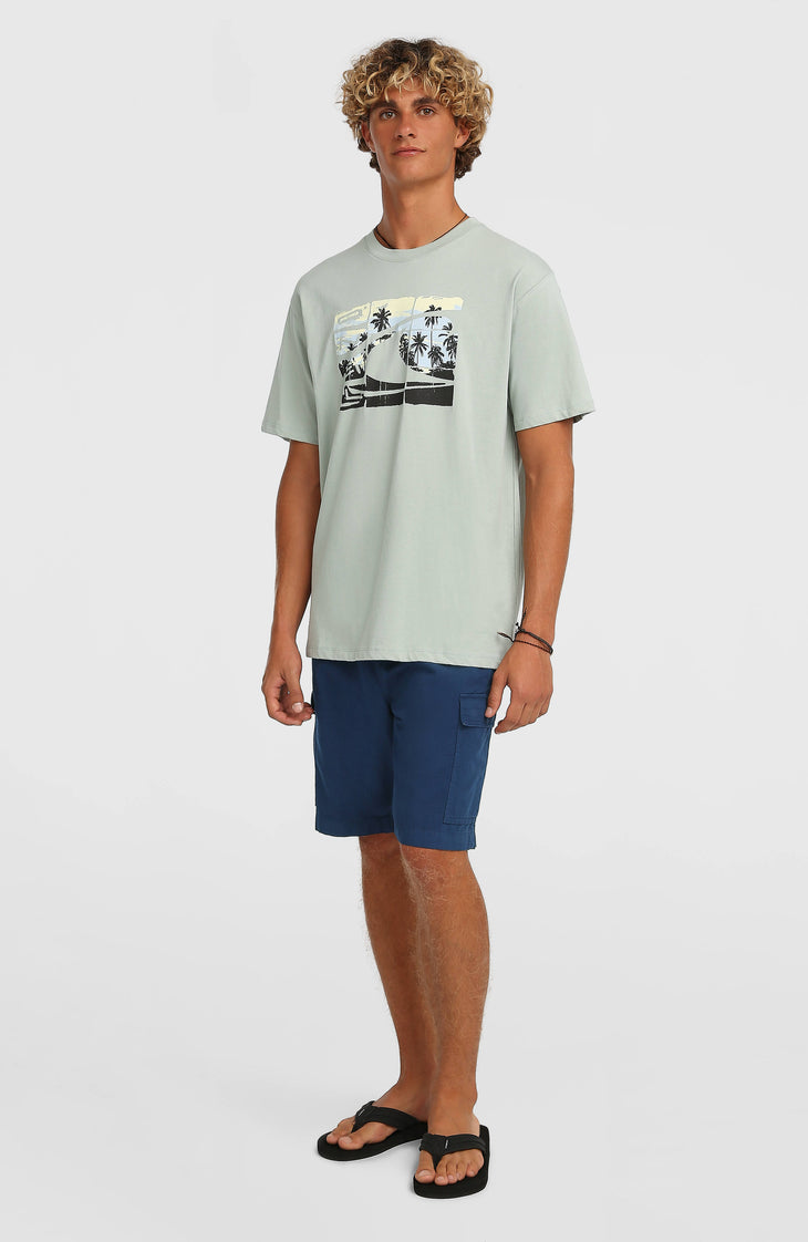 O’Neill Essentials Ripstop Cargo Shorts | English Evening