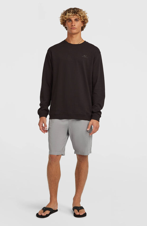 O’Neill Essentials Ripstop Cargo Shorts | Brushed Aluminium