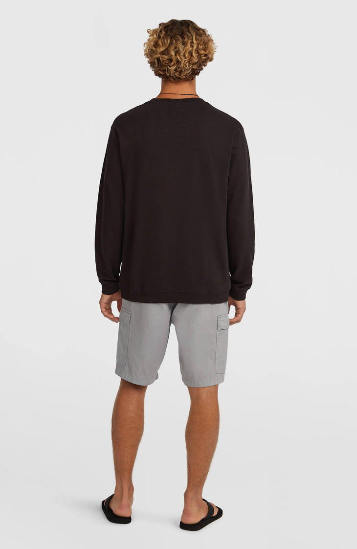 O’Neill Essentials Ripstop Cargo Shorts | Brushed Aluminium
