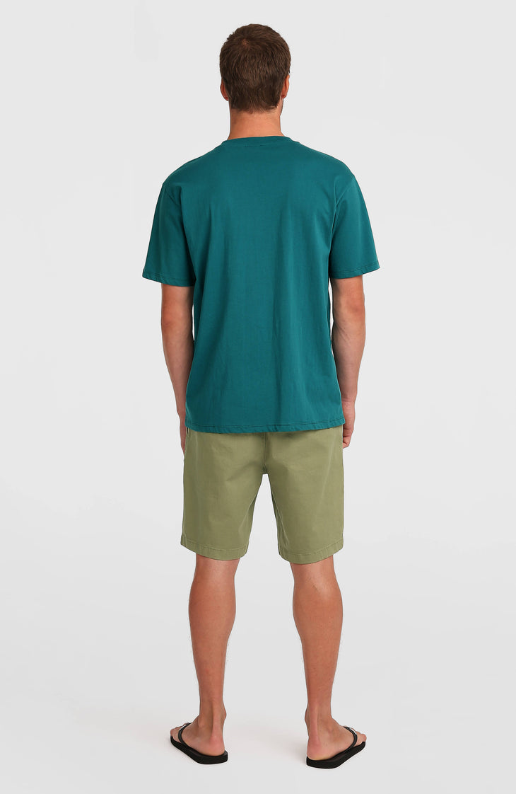 Essentials Chino Shorts | Avery Fern