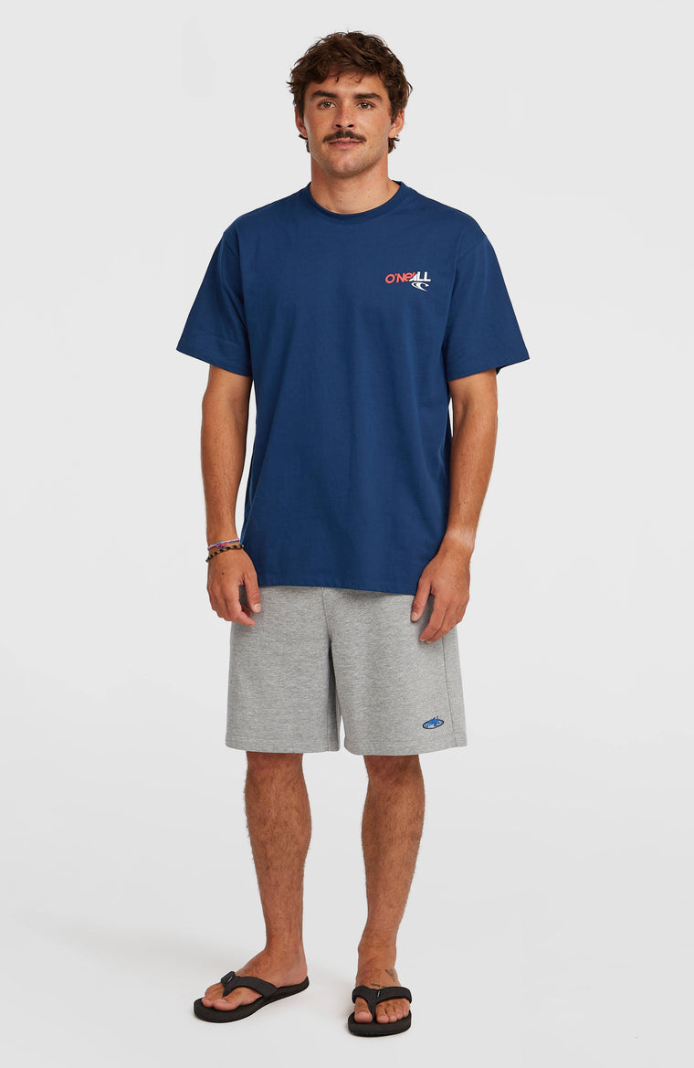 Essentials 90s Sweatshorts | Silver Melee Essentials 90s Sweatshorts | Silver Melee