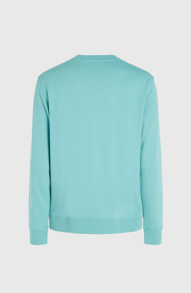 O`Neill Logo Crew Sweatshirt | Ripling Shores