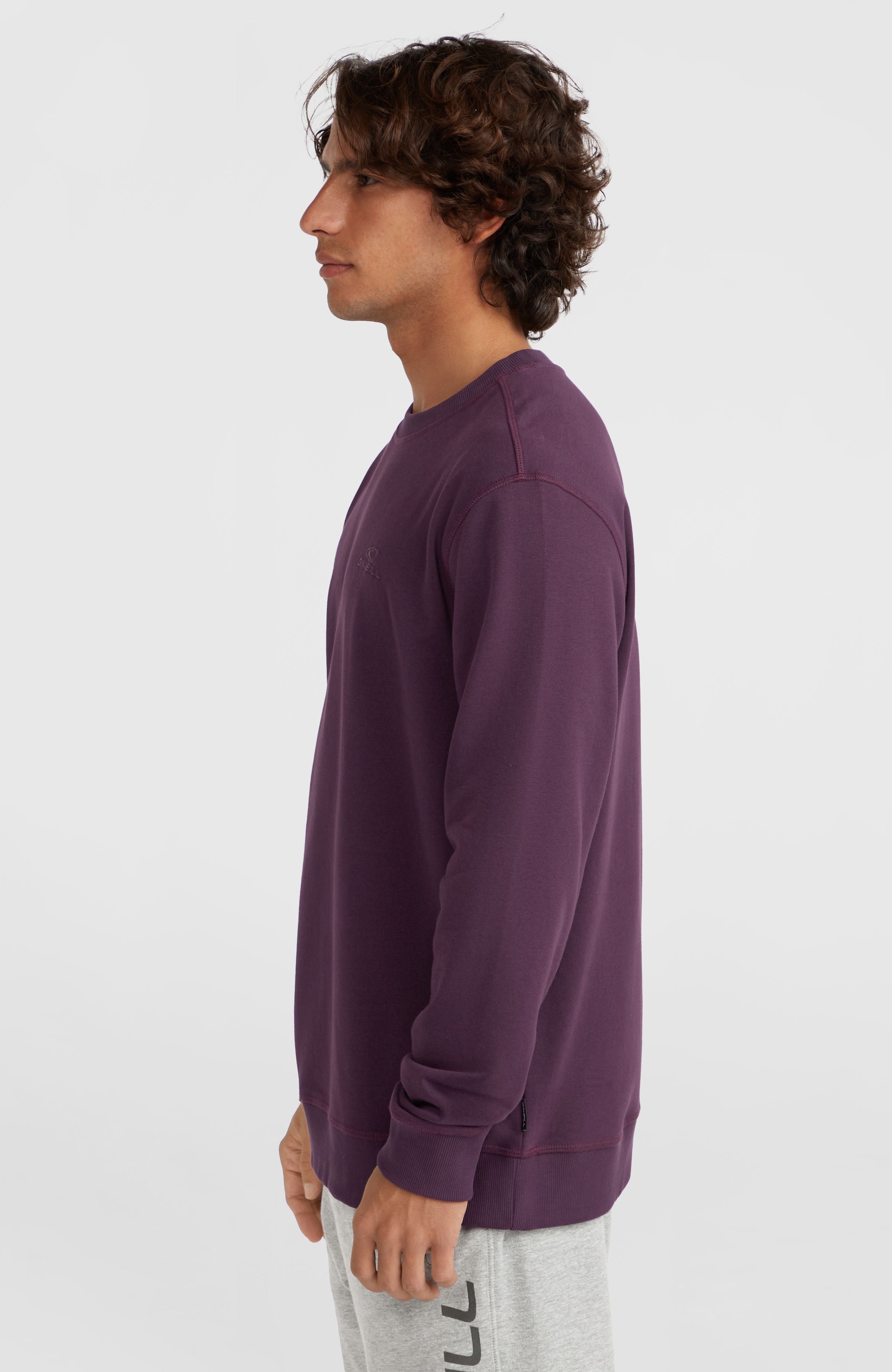 Small Logo Crew Sweatshirt | Aubergine – O'Neill