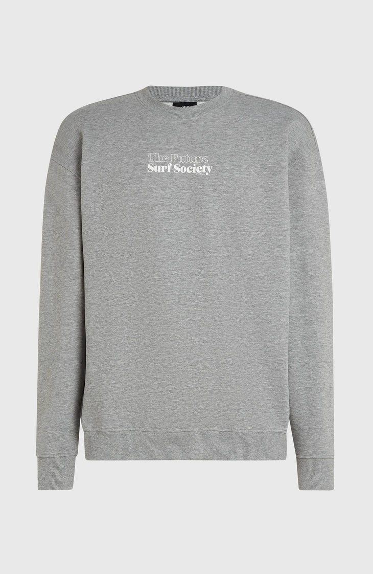 Future Surf Crew Sweatshirt | Silver Melee