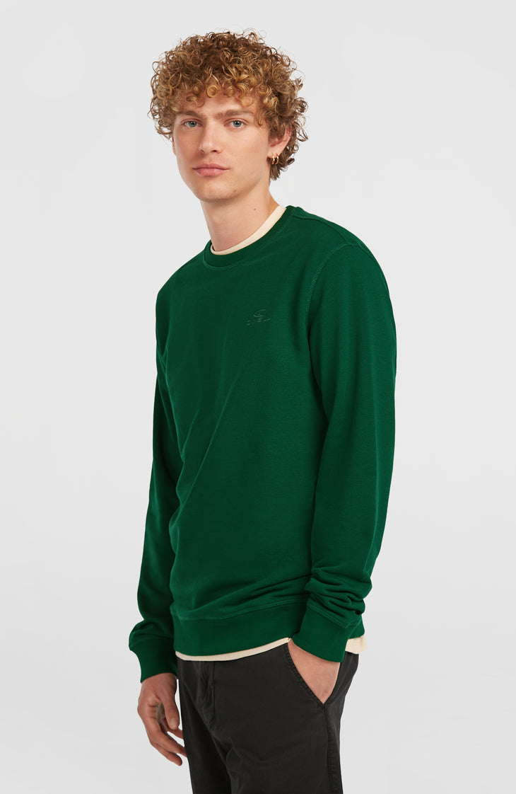 Small Logo Crew Sweatshirt | Emerald Envy
