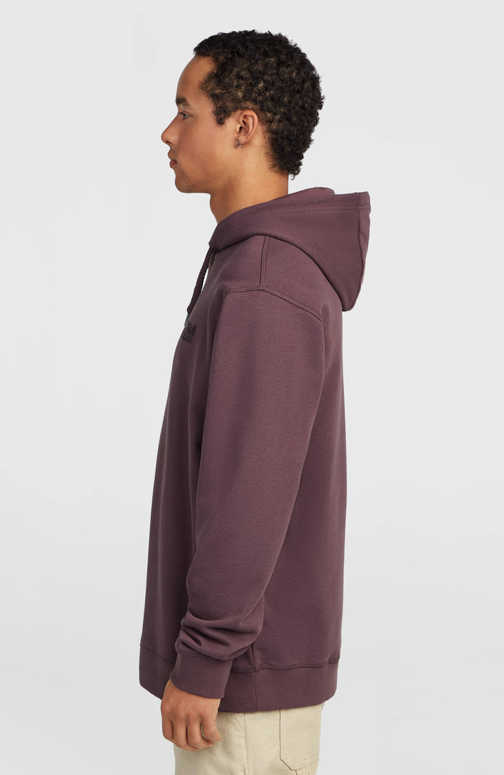 O'Neill Cali Hoodie | Purple Gray