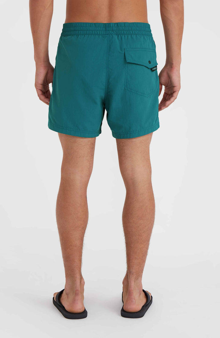 Jack O'Neill Vert 14'' Swim Shorts | Beetle Juice