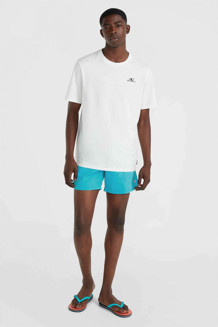 Vert 16'' Swim Shorts | Neon Blue