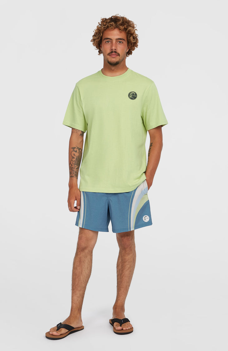 O'Riginals Longboard 15'' Swim Shorts | Blue Originals Stripe