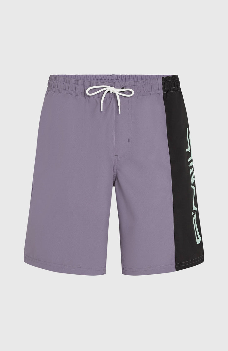 Retro 19'' Swim Shorts | Storm Colour Block