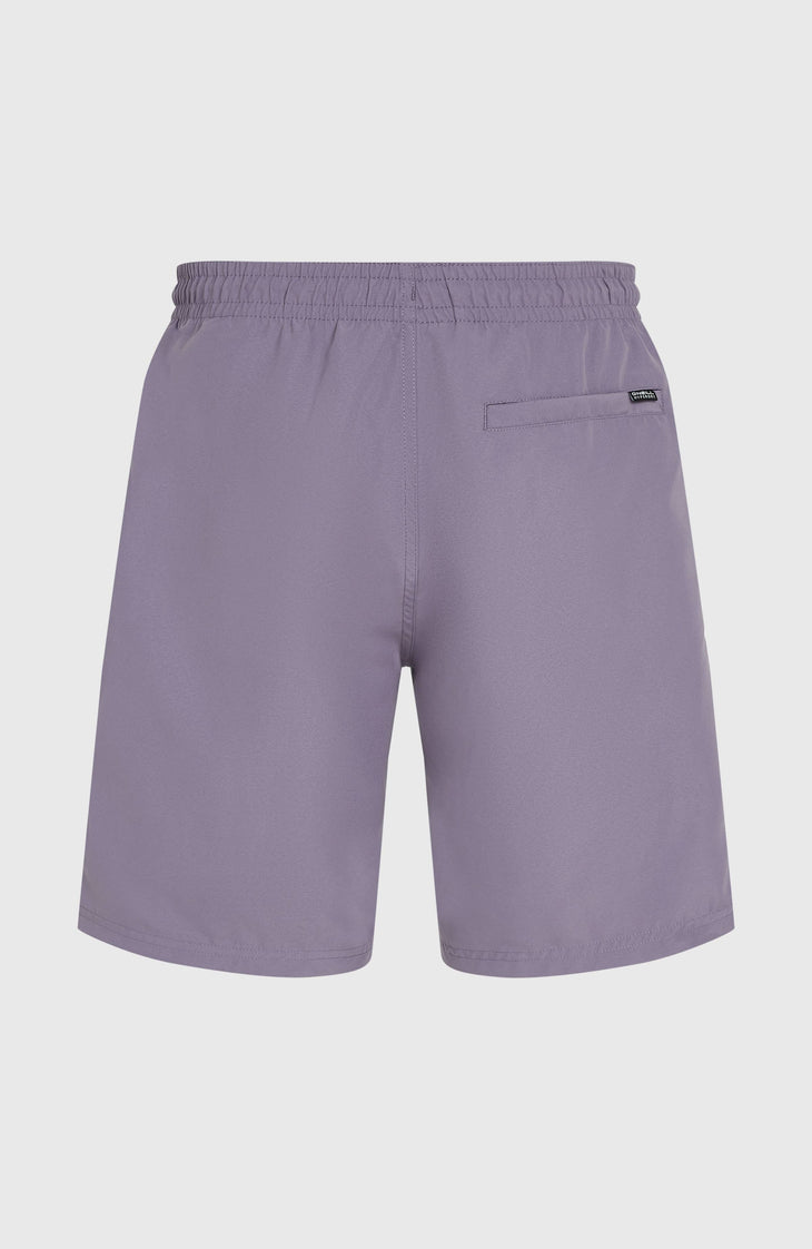 Retro 19'' Swim Shorts | Storm Colour Block
