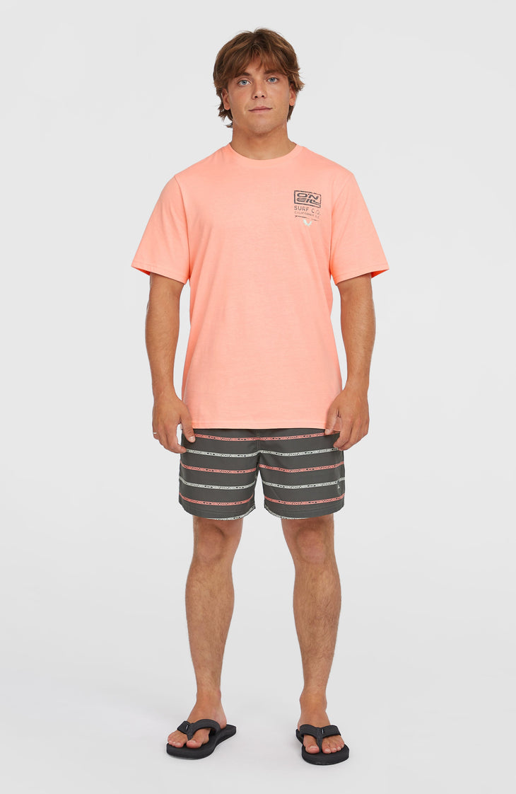 Cali First 15'' Swim Shorts | Grey O'Neill Stripe