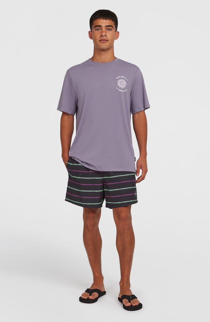 Cali First 15'' Swim Shorts | Black/Purple O'Neill Stripe