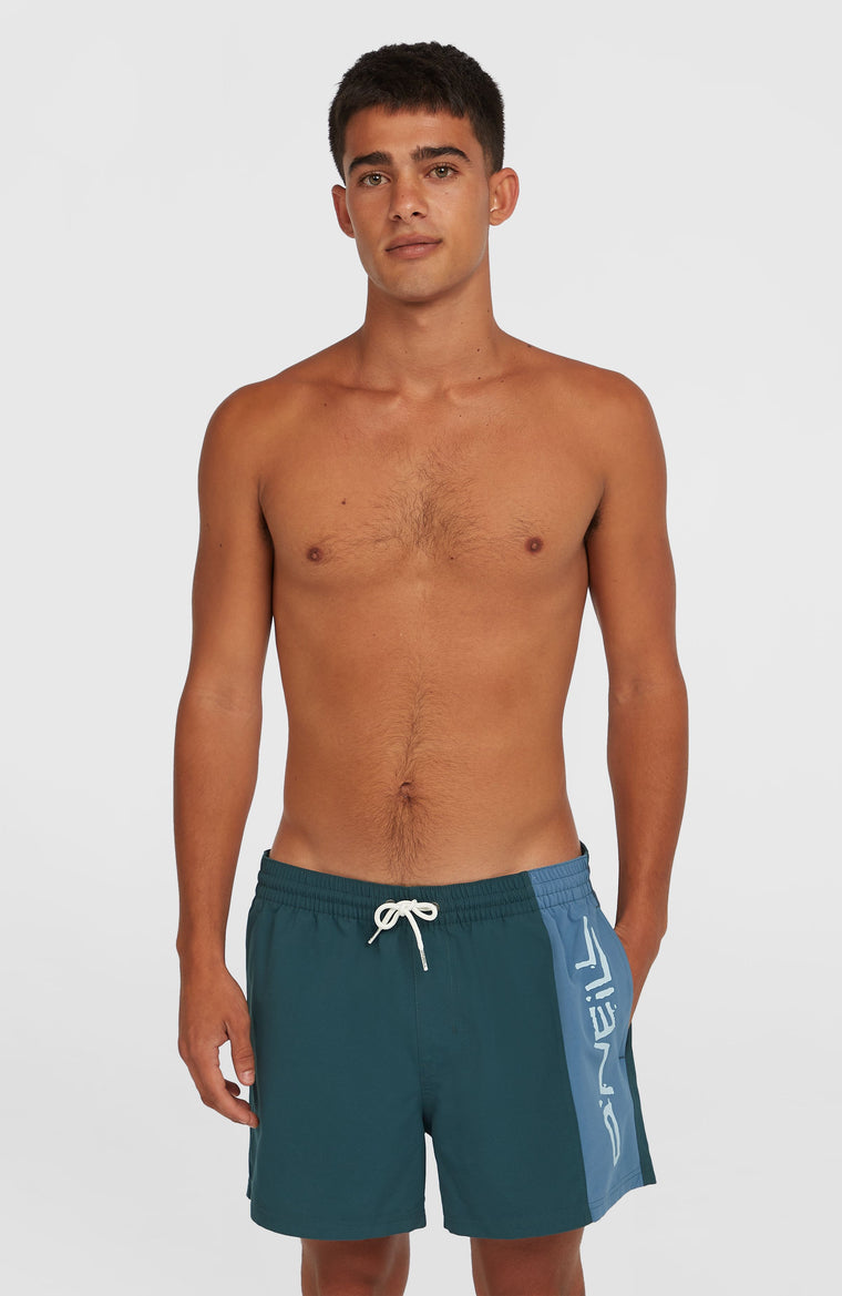 Retro 14'' Swim Shorts | Alma Steel Colour Block Retro 14'' Swim Shorts | Alma Steel Colour Block