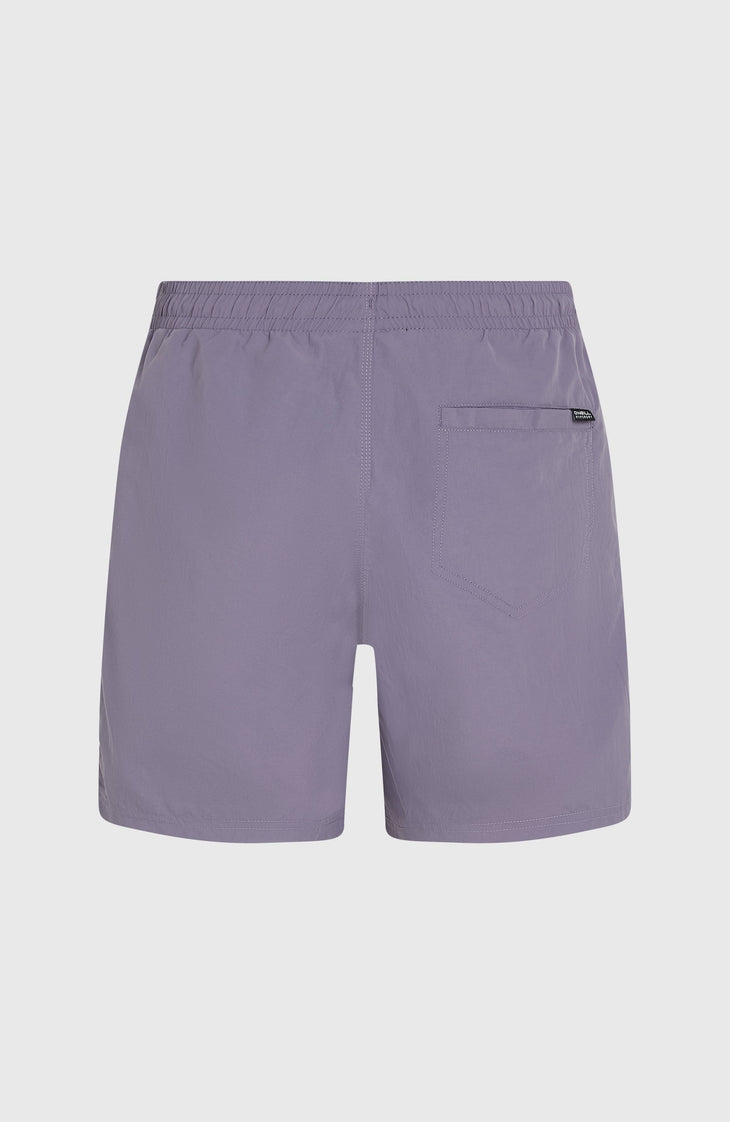 O’Neill Vert 16'' Swim Shorts | Storm
