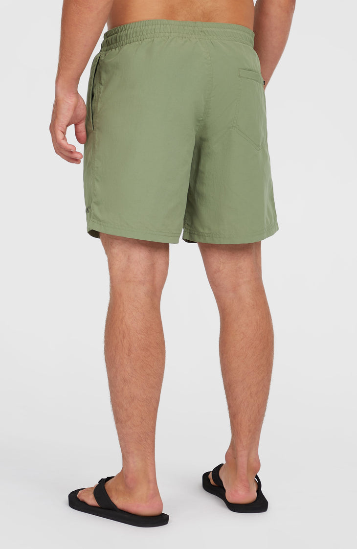O’Neill Vert 16'' Swim Shorts | Avery Fern