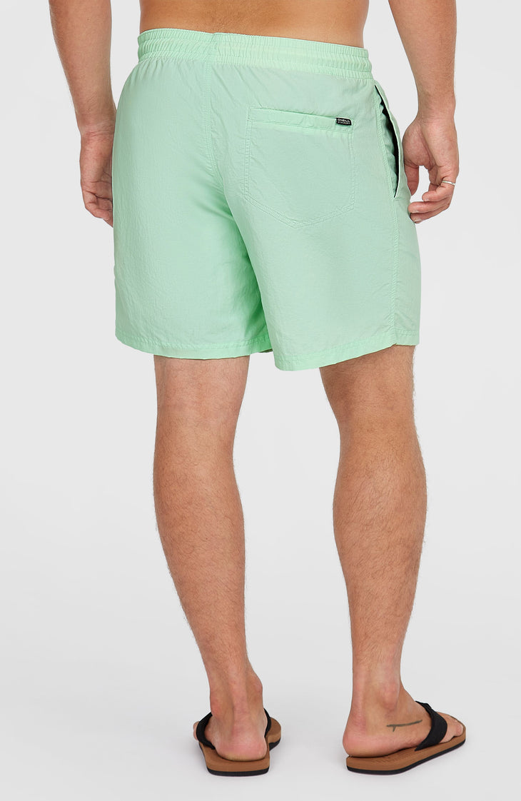 O’Neill Vert 16'' Swim Shorts | Mildrew Mint
