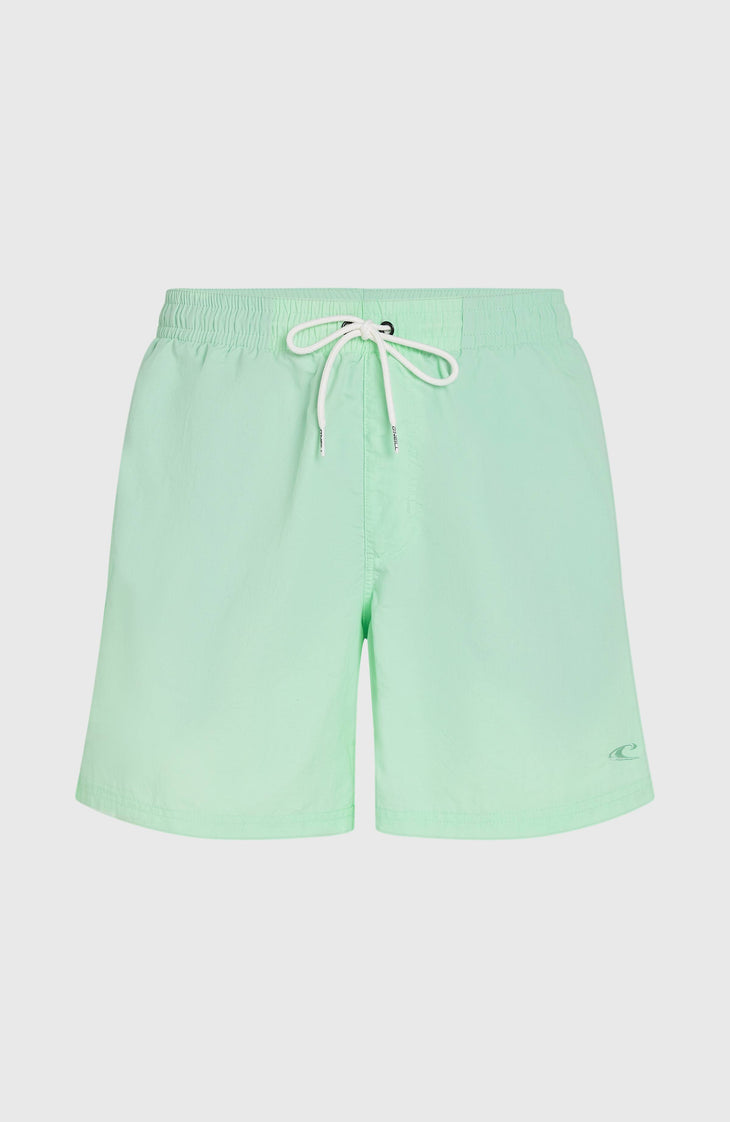 O’Neill Vert 16'' Swim Shorts | Mildrew Mint