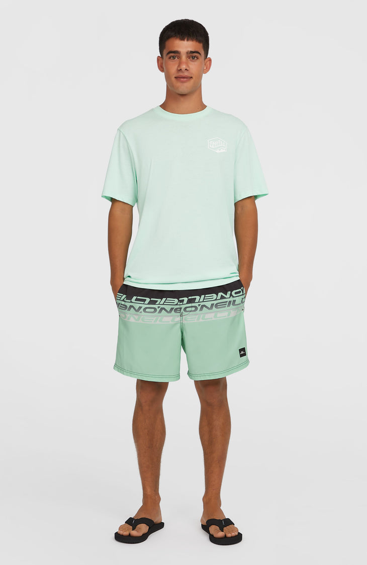 Cali Stripe 16'' Swim Shorts | Green/Black Upside Down Clean