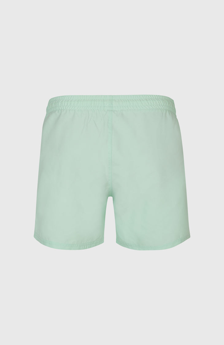 O'Neill 15" Swimshorts | Mildrew Mint