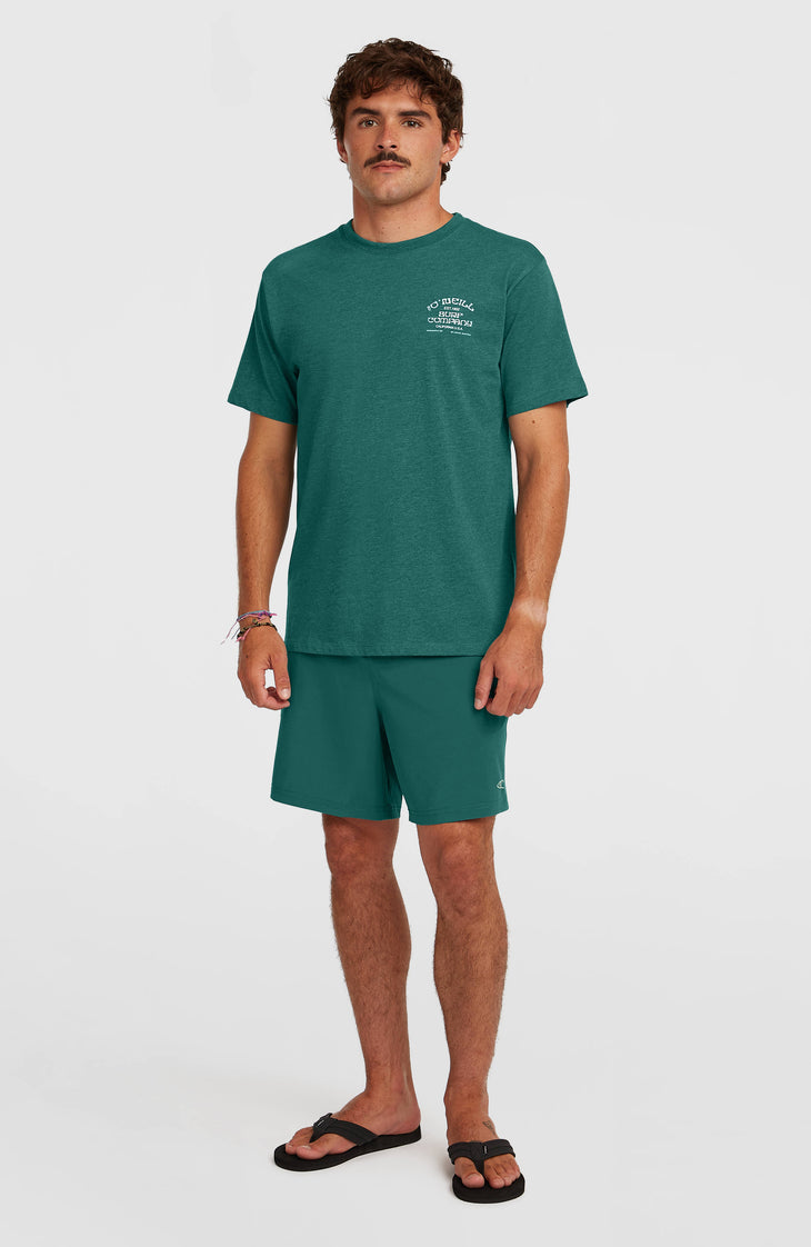 Pocket Print 16'' Swimshorts | Botanical Heat