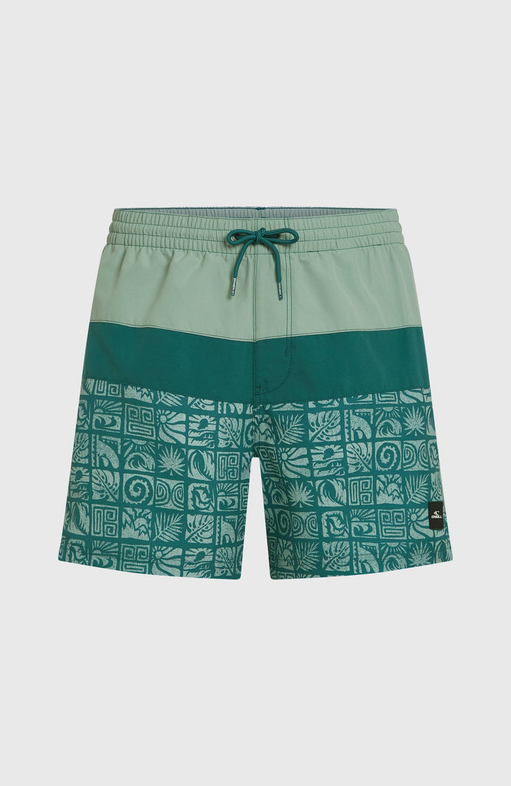 O'Neill Block 15'' Swimshorts | Blue Bricks