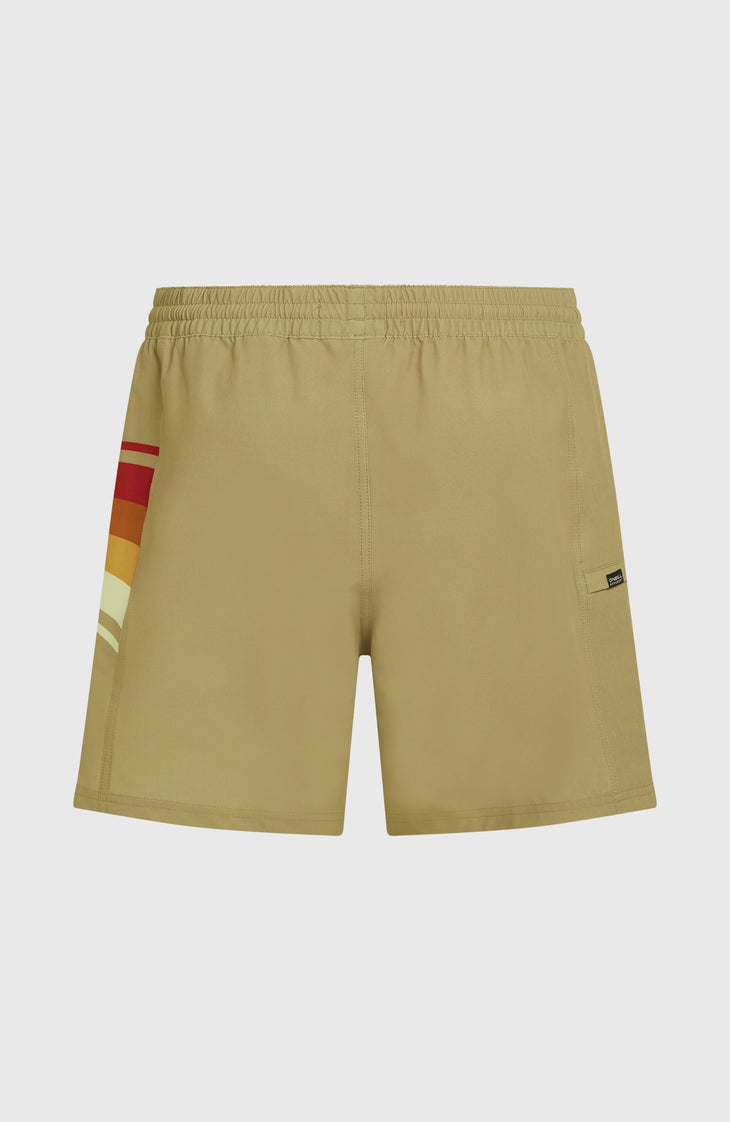 O'Riginals Side Panel 16'' Swimshorts | Oak Ridge
