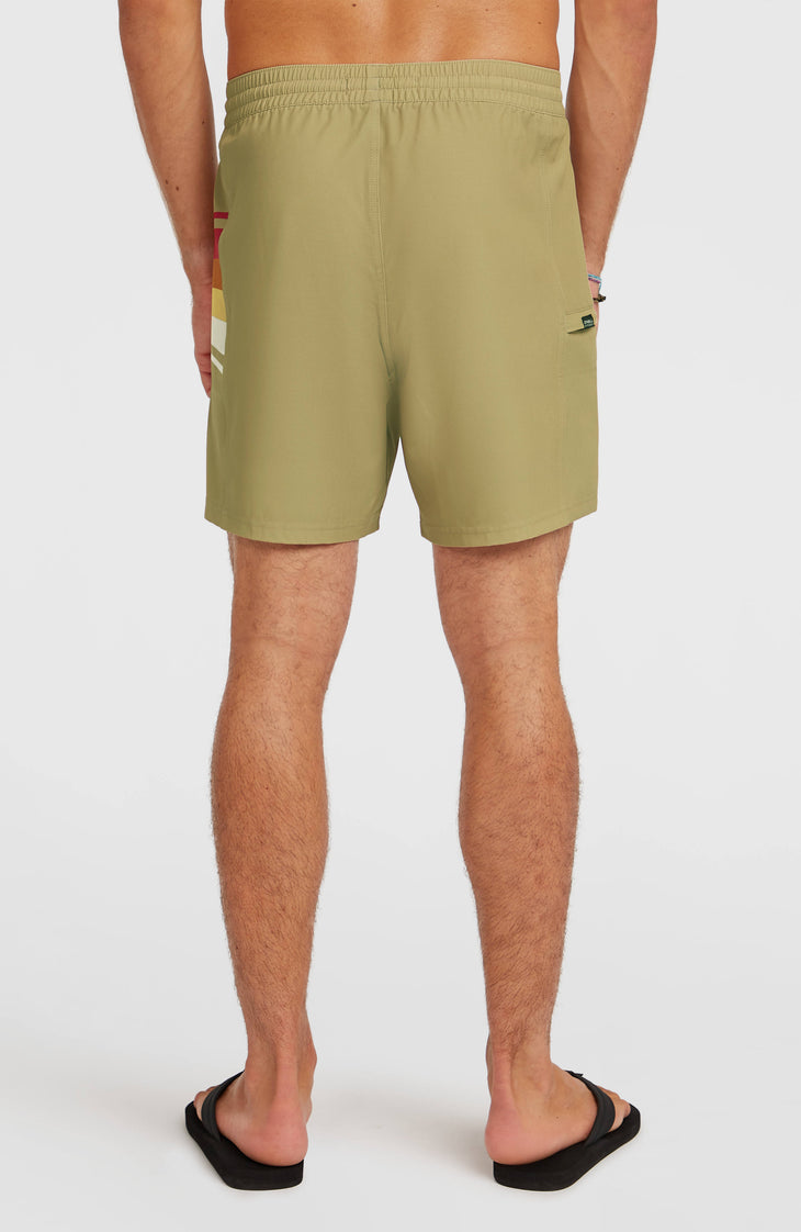 O'Riginals Side Panel 16'' Swimshorts | Oak Ridge