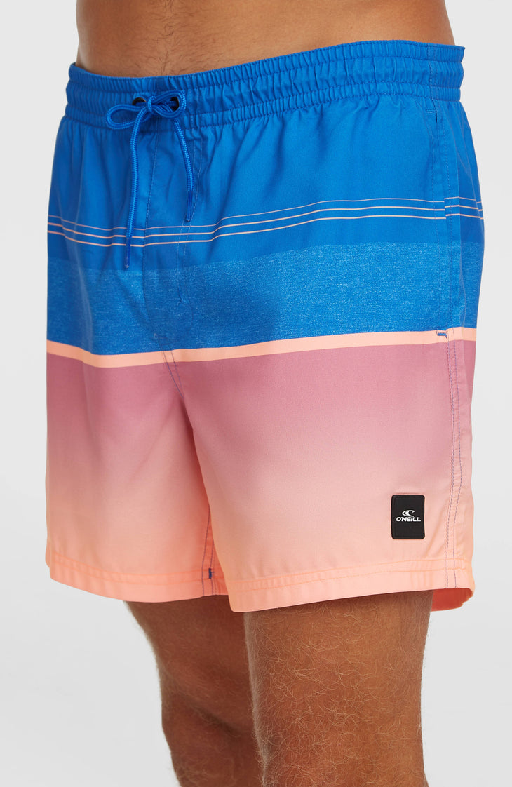 O’Neill Gradient 15'' Swimshorts | Blue Gradient Stripe