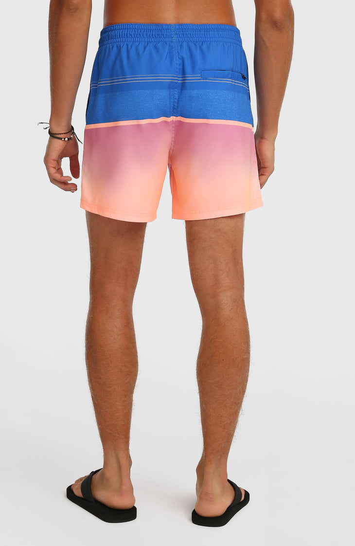 O’Neill Gradient 15'' Swimshorts | Blue Gradient Stripe
