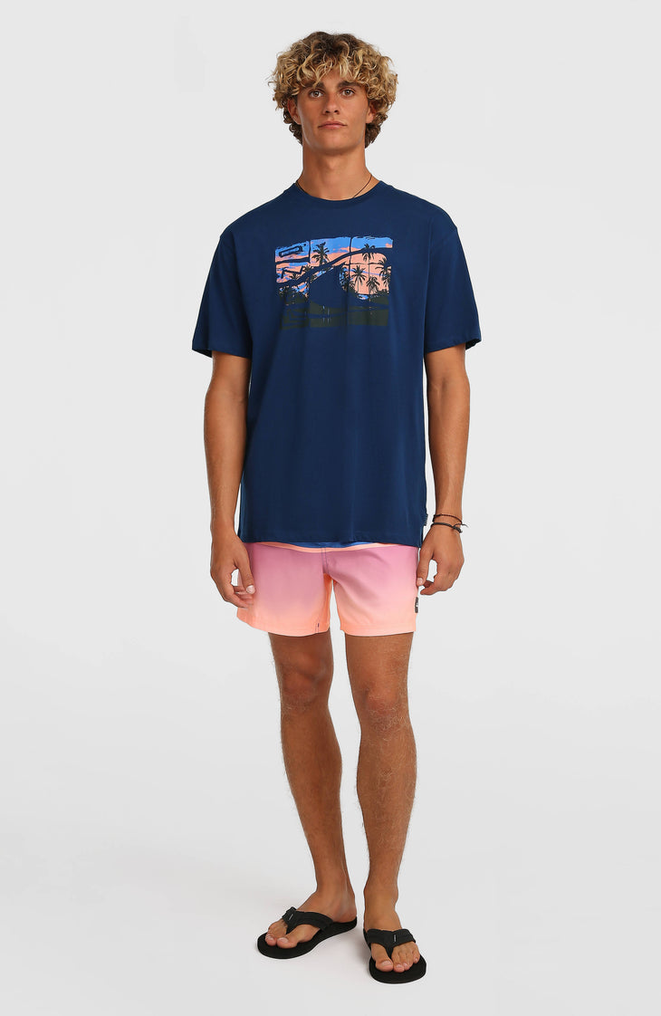 O’Neill Gradient 15'' Swimshorts | Blue Gradient Stripe