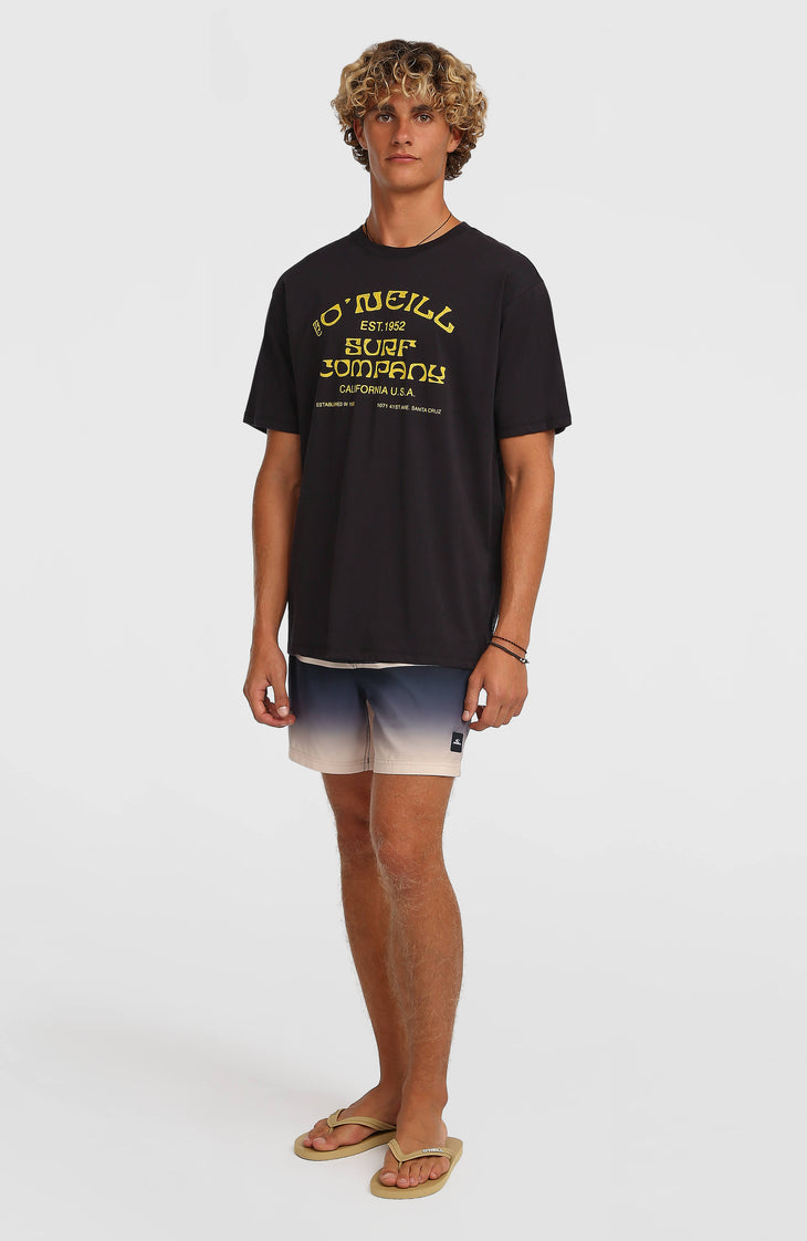 O’Neill Gradient 15'' Swimshorts | Black Out Gradient Stripe