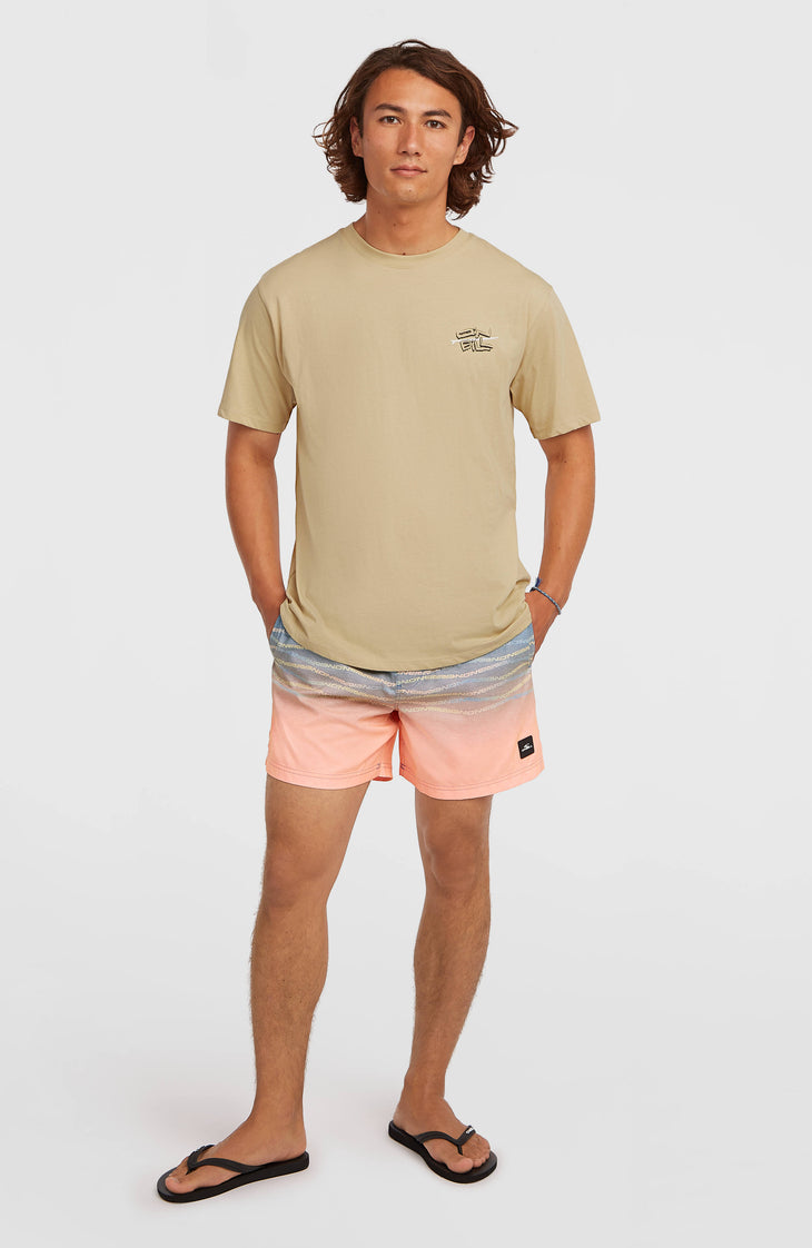 O'Neill First 15'' Swimshorts | Blue Heritage O'Neill Flip