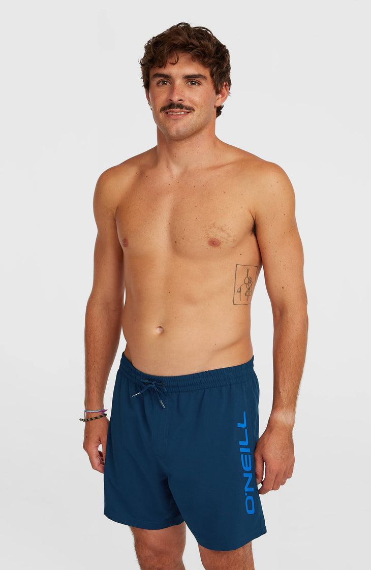 O'Neill Logo 16'' Swimshorts | English Evening