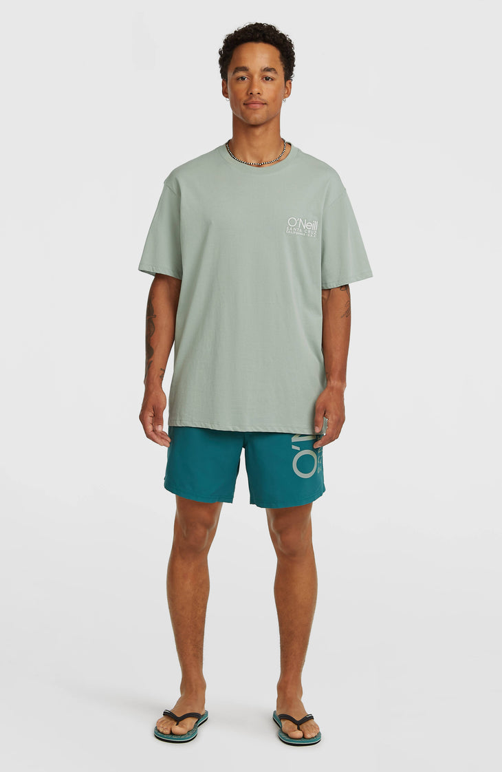 O'Neill Cali 16'' Swimshorts | Botanical Heat