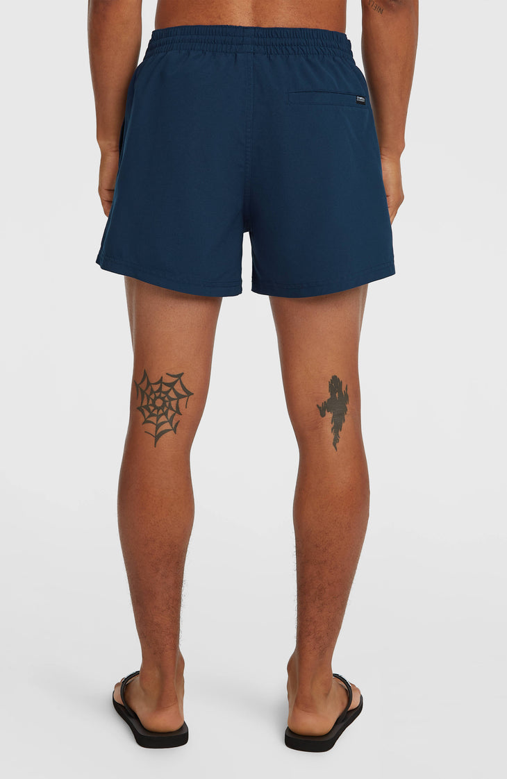 Retro 14'' Swimshorts | English Evening