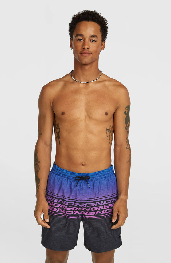 Logo Stripe 16'' Swimshorts | Blue Heritage O'Neill Stripe