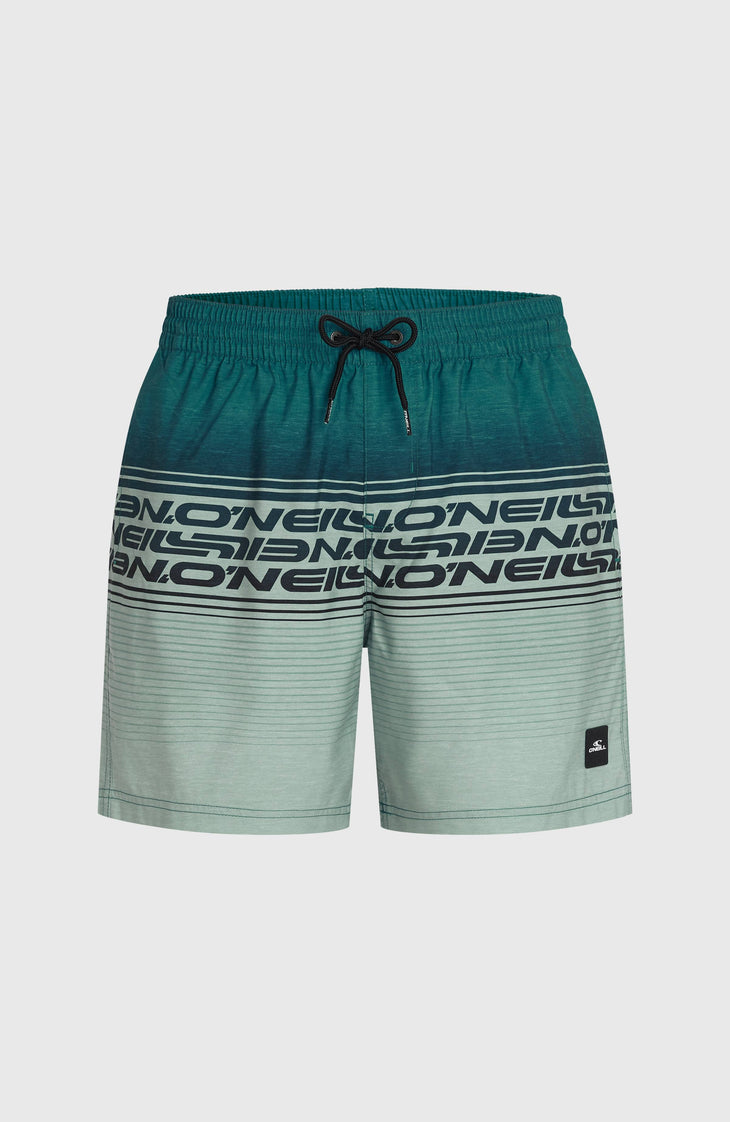 Logo Stripe 16'' Swimshorts | Green Heritage Stripe