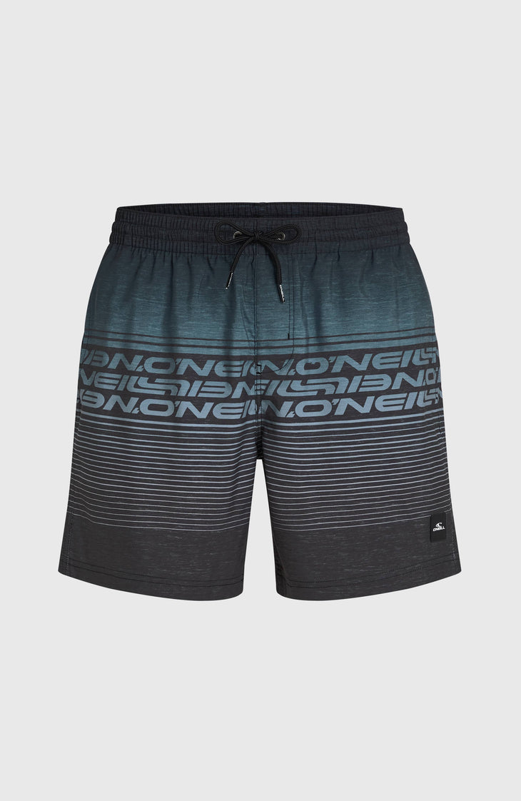 Logo Stripe 16'' Swimshorts | Black Out Heritage O'Neill Stripe