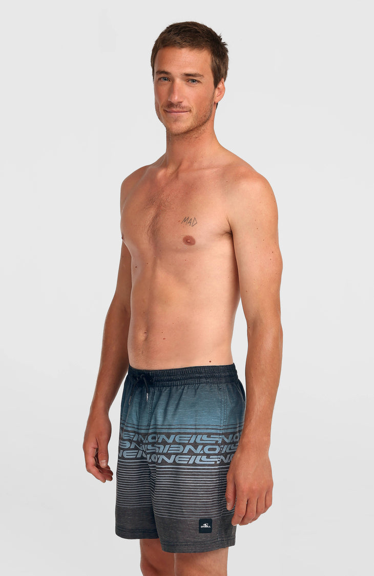 Logo Stripe 16'' Swimshorts | Black Out Heritage O'Neill Stripe