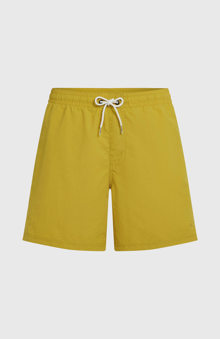 O'Neill Vert 16'' Swimshorts | Angel Fern