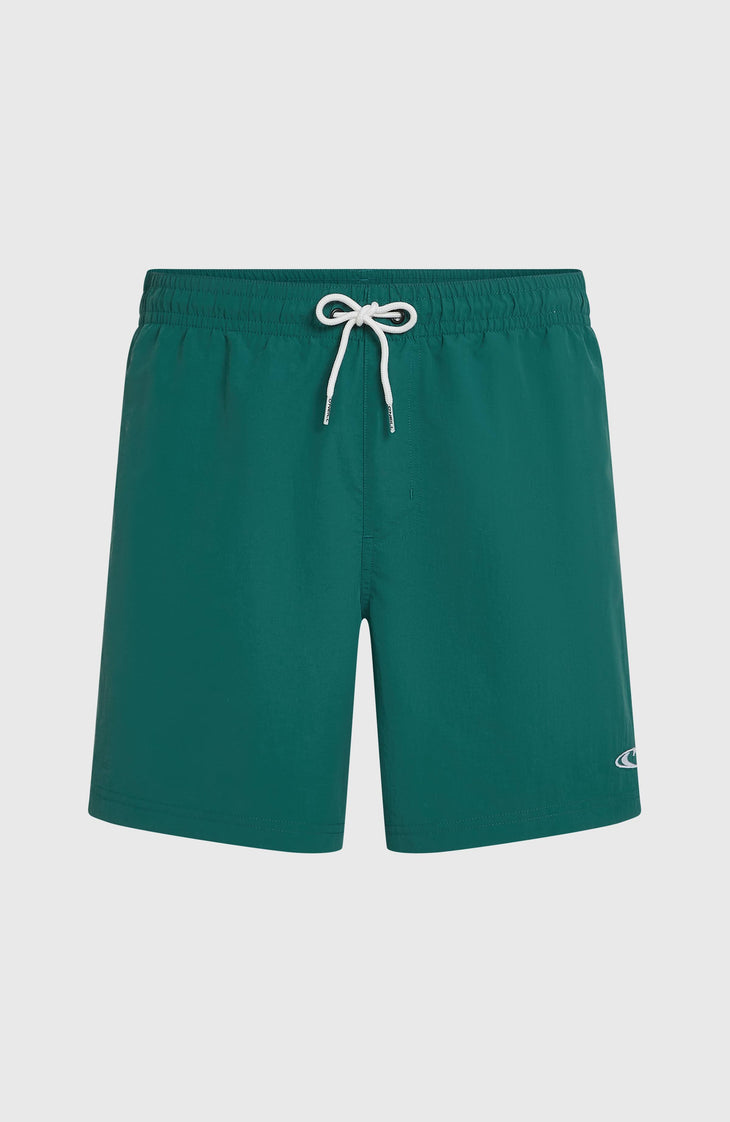 O'Neill Vert 16'' Swimshorts | Botanical Heat