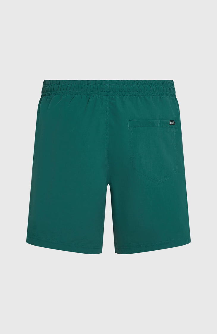 O'Neill Vert 16'' Swimshorts | Botanical Heat