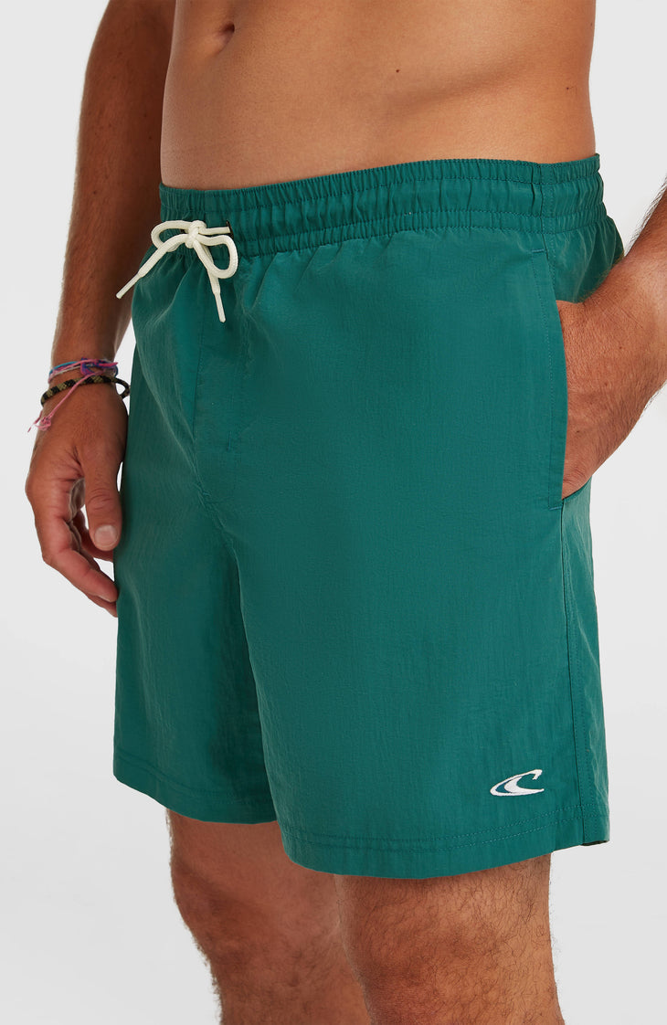 O'Neill Vert 16'' Swimshorts | Botanical Heat